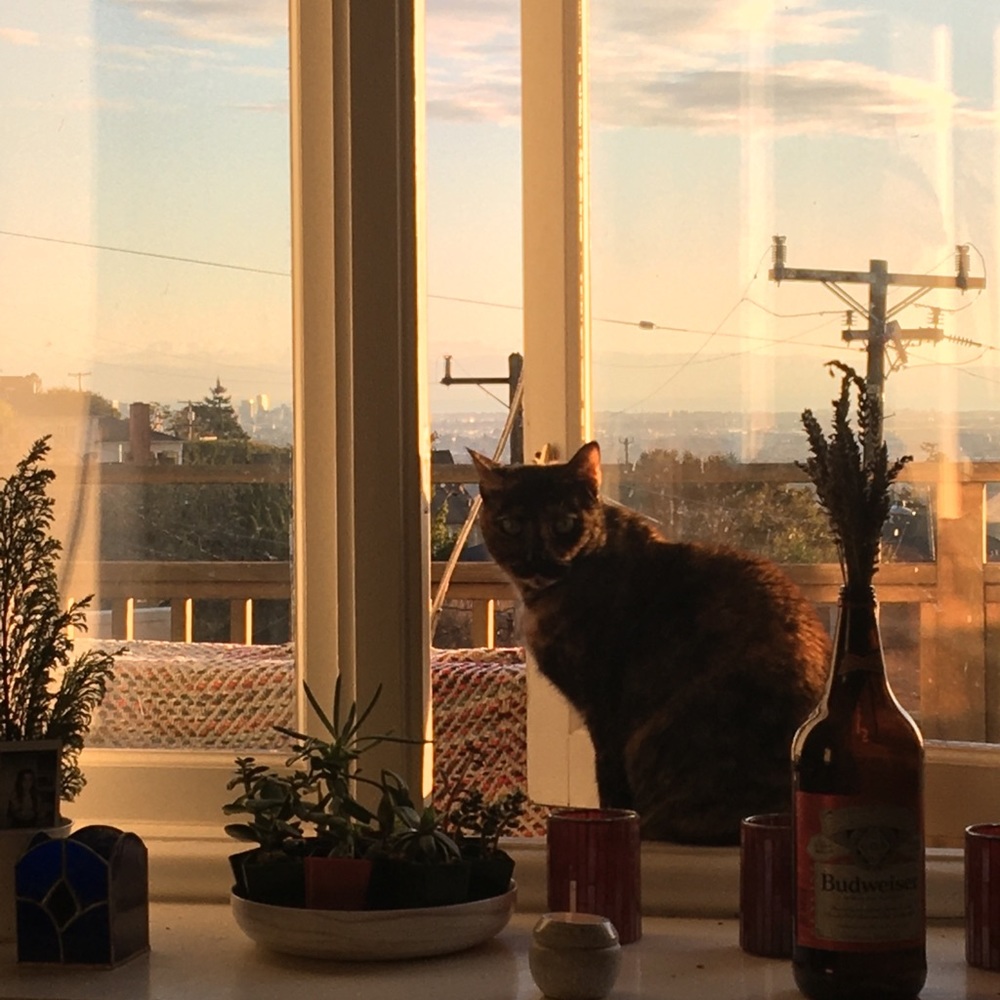 Meet your Posher, Olivia